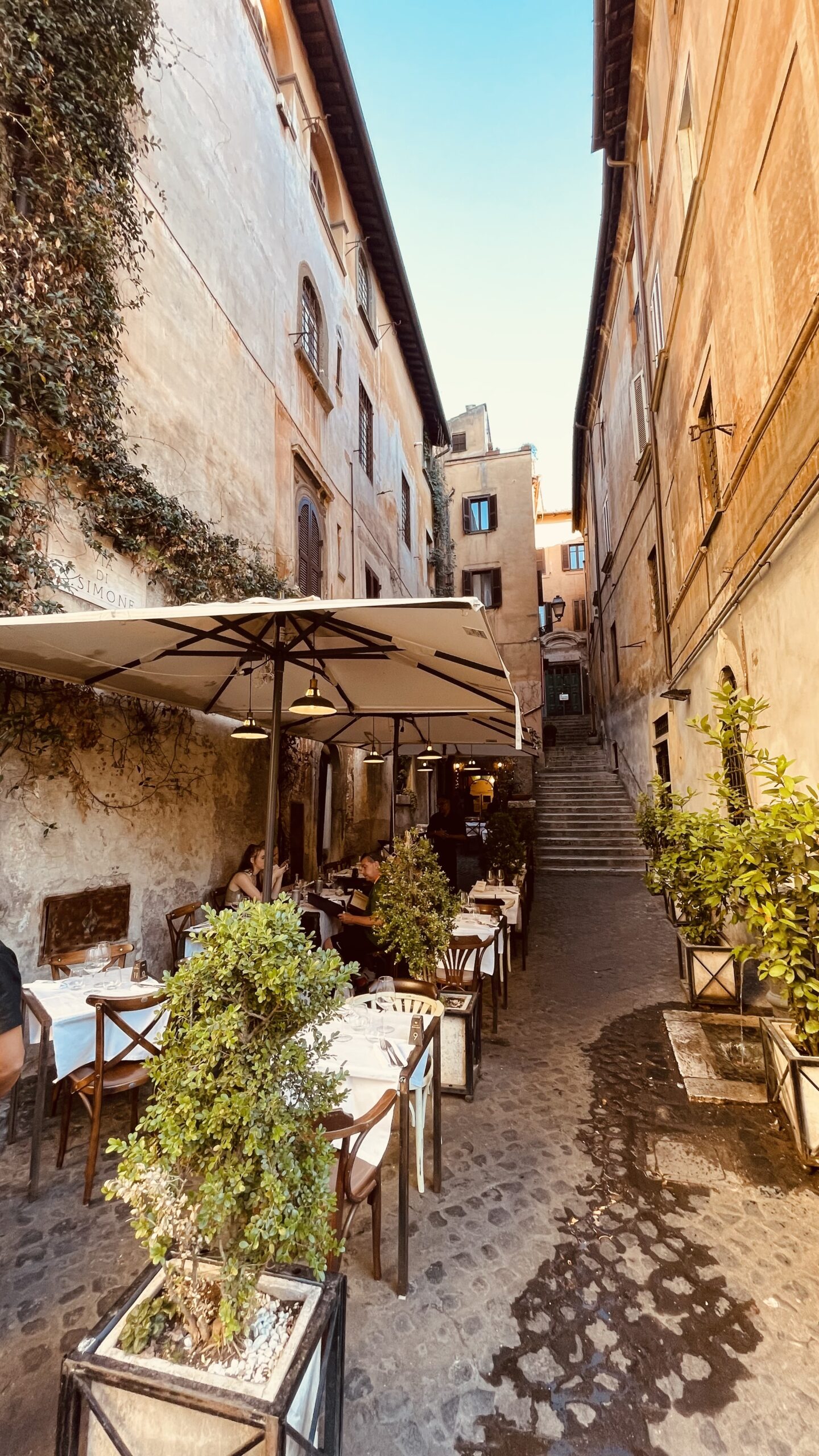 Mangiare tra i vicoli romantici di Roma, in una traversa di via dei Coronari. La Cucina del Teatro è un posto speciale dove mangiare piatti di stagione e del territorio rivisitati dalle sapienti mani dello chef.